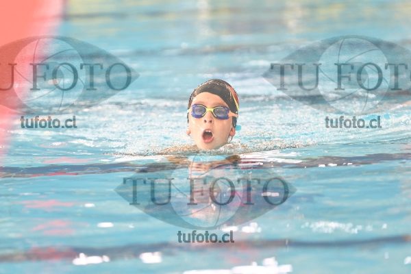 Image 2 pecho V 00231