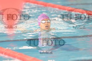 Image 2 pecho V 00234