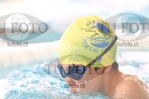 Image 2 pecho V 00261
