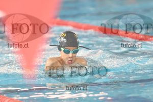 Image 2 pecho V 00266
