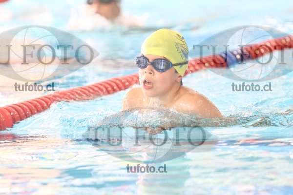 Image 2 pecho V 00273