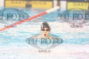 Image 1 mariposa V 00112