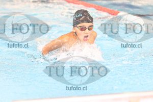 Image 1 mariposa V 00113