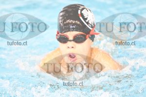 Image 1 mariposa V 00114