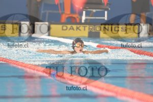 Image 1 mariposa V 00122