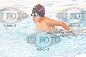 Image 1 mariposa V 00127