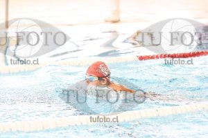 Image 1 mariposa V 00128