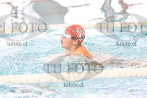 Image 1 mariposa V 00129