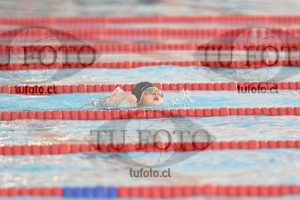 Image 1 libre D 00013