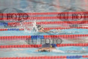 Image 1 libre D 00014