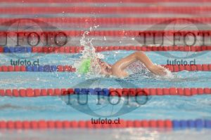 Image 1 libre D 00037
