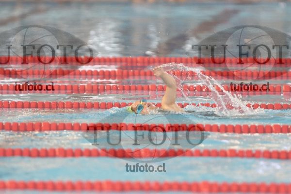 Image 1 libre D 00043