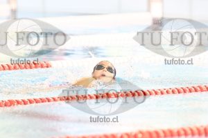 Image 1 libre D 00063