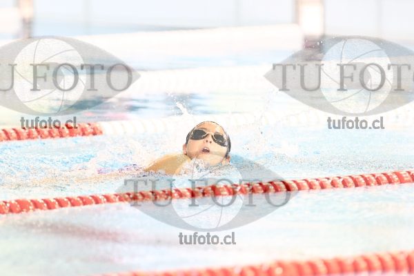 Image 1 libre D 00063