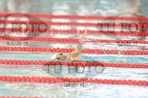 Image 1 libre D 00071