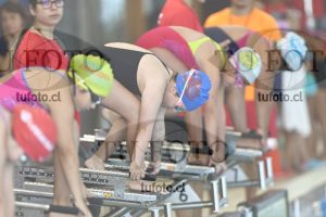Image 1 libre D 00087