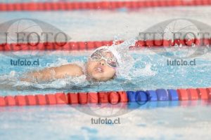 Image 1 libre D 00090
