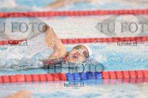 Image 1 libre D 00091