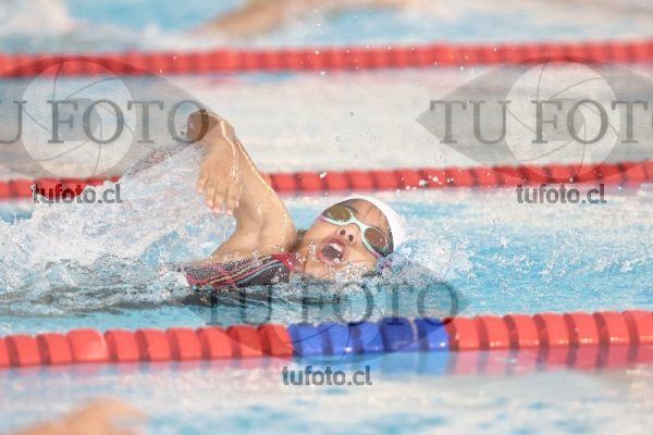 Image 1 libre D 00091