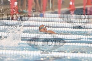 Image 1 libre D 00098