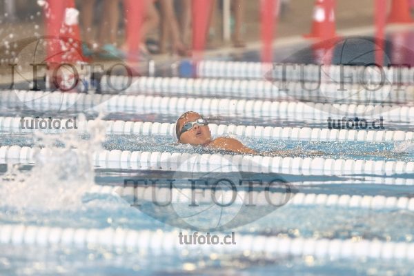 Image 1 libre D 00098