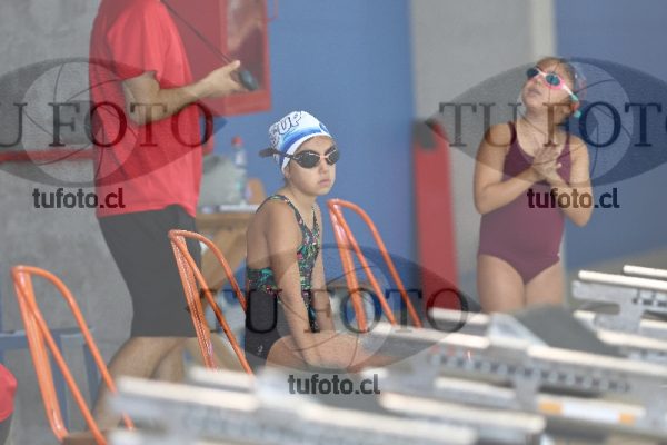 Image 1 libre D 00101