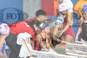 Image 1 libre D 00109