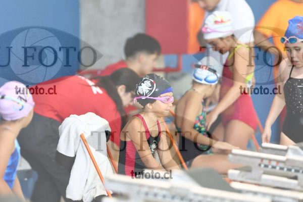 Image 1 libre D 00109