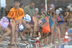 Image 1 libre D 00114