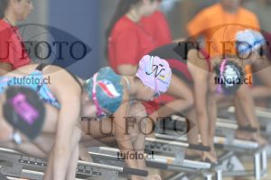 Image 1 libre D 00117