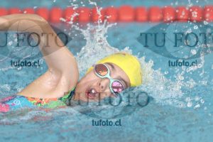 Image 1 libre D 00120