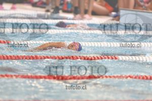 Image 1 libre D 00123