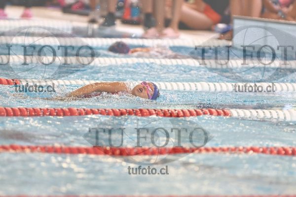 Image 1 libre D 00123