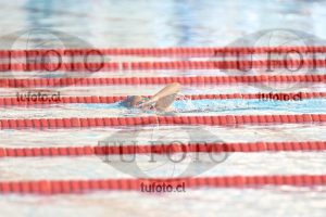 Image 1 libre D 00125