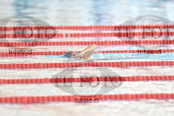 Image 1 libre D 00125