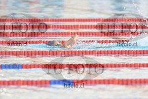 Image 1 libre D 00126