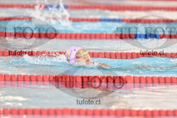 Image 1 libre D 00129