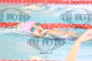 Image 1 libre D 00131