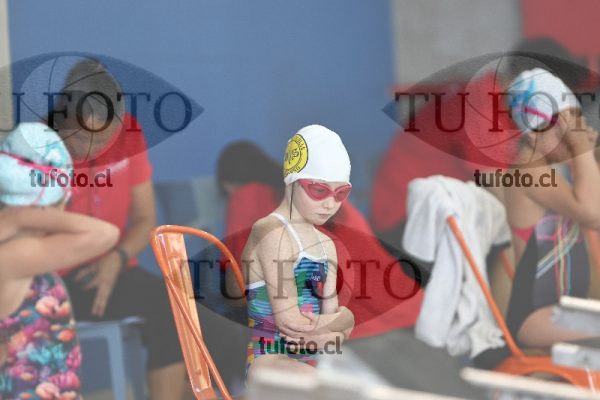 Image 1 libre D 00137