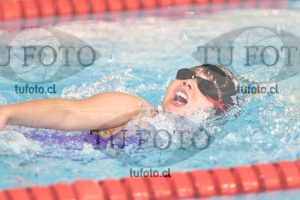Image 1 libre D 00153