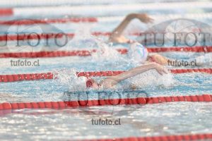 Image 1 libre D 00155