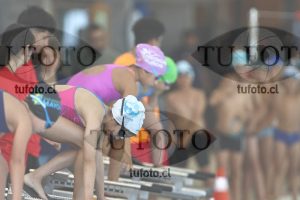 Image 1 libre D 00172