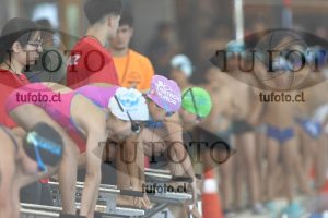 Image 1 libre D 00175