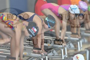 Image 1 libre D 00177