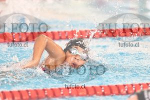 Image 1 libre D 00182