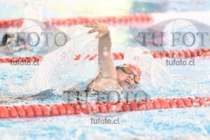 Image 1 libre D 00184