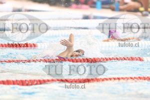 Image 1 libre D 00185