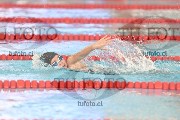 Image 1 libre D 00190