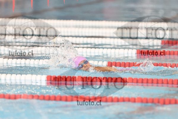 Image 1 libre D 00193
