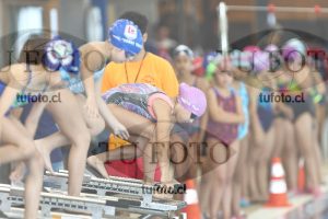 Image 1 libre D 00201
